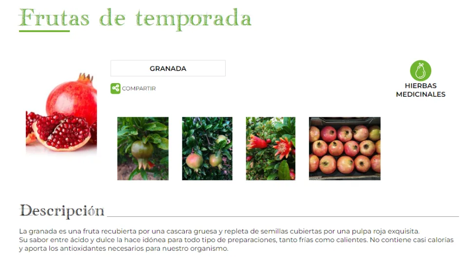 Realón Tropical · 4